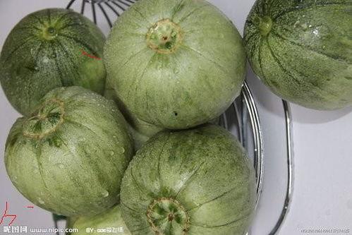 昌乐黄皮瓜今日价格,品质瓜果，实惠之选
