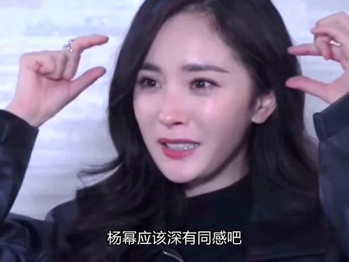 最近明星网红有谁火爆过