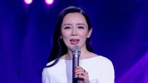 歌手明星网红神曲是什么