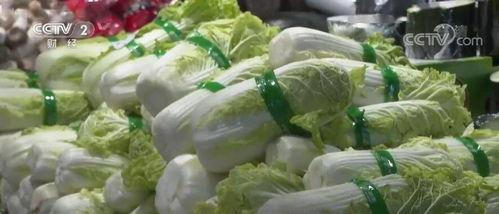 天津水瓜价格今日,实惠之选，市民抢购热潮