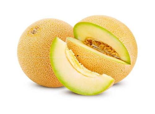 天津水瓜价格今日,实惠之选，市民抢购热潮