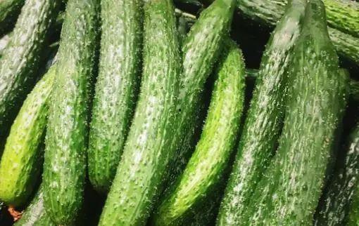 茄瓜今日单价,探寻市场动态下的实惠之选