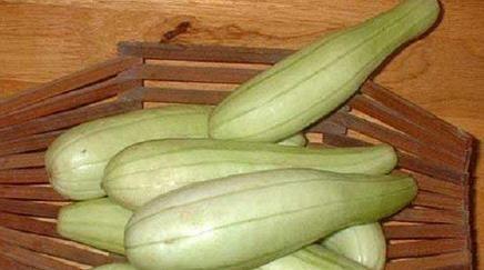 今日白瓜发啥价