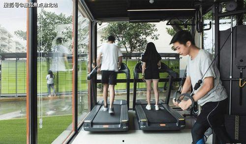 黄连鸡瓜莲统货今日价格,市场行情一览”