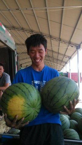 青州谭坊今日瓜价