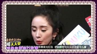 明星网红八卦事,明星网红的八卦秘闻大揭秘