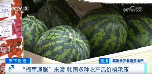 吊瓜西瓜今日价格走势图,今日走势图深度解析