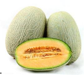 今日热搜哈密瓜是热的吗,夏季清凉果王热度飙升