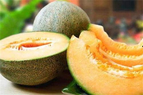 今日热搜哈密瓜是热的吗,夏季清凉果王热度飙升