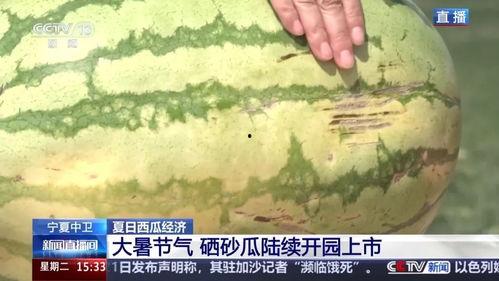 今日头条里最甜的瓜,最甜瓜子的甜蜜故事