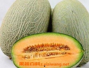 2024哈密瓜牛三今日价格行情,今日市场动态一览