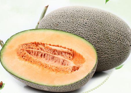 2024哈密瓜牛三今日价格行情,今日市场动态一览