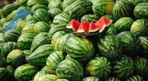 今日农村卖瓜视频下载,揭秘今日农村卖瓜视频背后的下载热潮