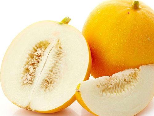 兰州白兰瓜今日新闻,新鲜上市，助力乡村振兴