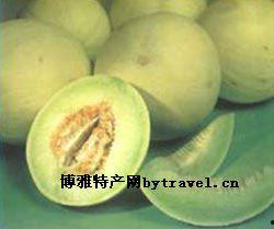 兰州白兰瓜今日新闻,新鲜上市，助力乡村振兴