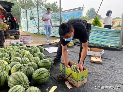 宁夏今日瓜价,今日瓜价行情一览”