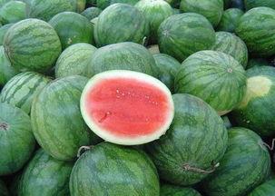 平顶山茄瓜今日价格表,市场行情一览