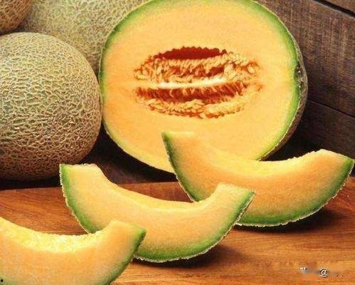 哈密瓜今日收购单价,单价行情一览