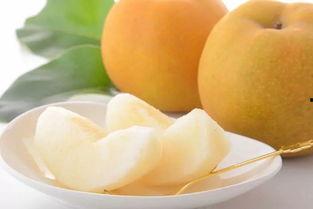 金玉蜜瓜今日价格