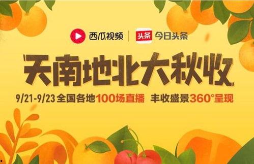 今日摘瓜视频大全免费观看,今日摘瓜视频大全精彩呈现