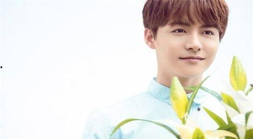 小县城出身的明星网红,逆袭之路的璀璨星光