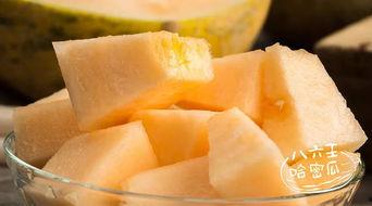 八六王哈密瓜今日收购行情,价格波动与市场动态一览”