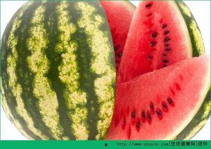 天天吃瓜网今日吃瓜,揭秘今日热门吃瓜事件，带你领略娱乐圈风云变幻