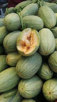 哈密瓜批发市场今日价格
