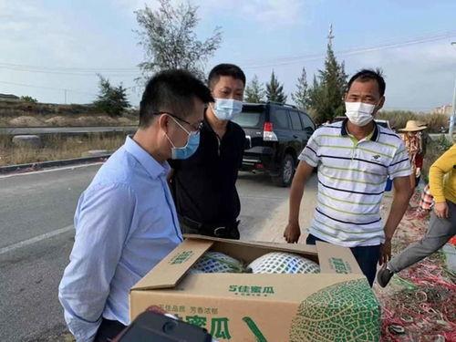 佛罗哈密瓜价格今日,“今日佛罗哈密瓜价格波动解析”