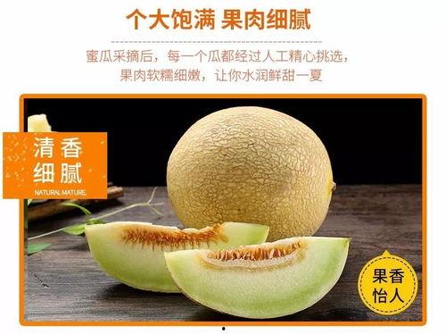 沙漠瓜今日超市价格,新鲜美味，价格实惠，尽享沙漠甘甜