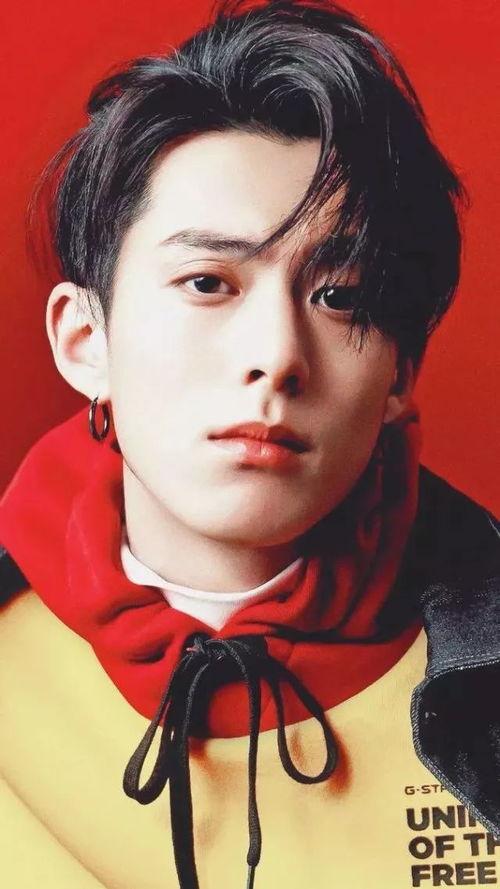 王鹤棣明星网红化