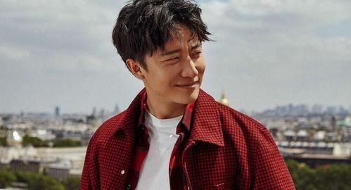 王鹤棣明星网红化