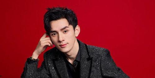 王鹤棣明星网红化