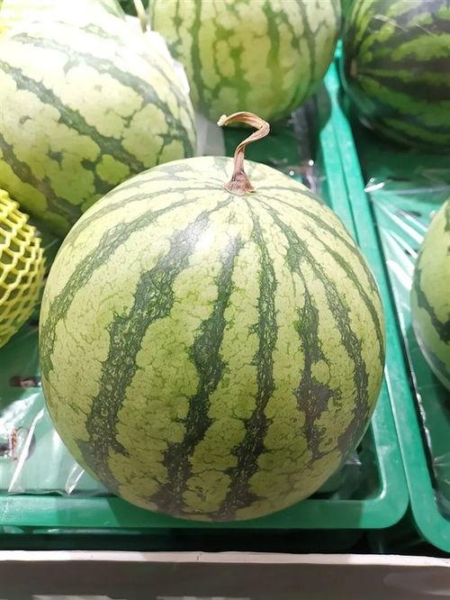 今日大瓜吃瓜网站,揭秘娱乐圈最新热点事件