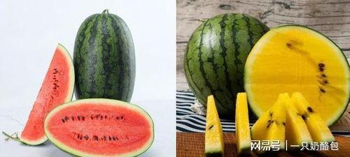 今日大瓜吃瓜网站,揭秘娱乐圈最新热点事件