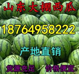 今日小白瓜批发多少钱,今日小白瓜批发价格行情分析