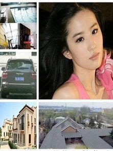 媒体新闻明星网红是谁