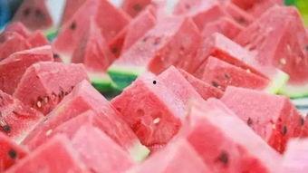 每日大赛今日吃瓜,大赛风云，吃瓜群众齐围观