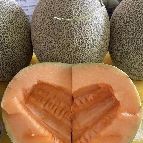 哈密瓜今日价格行情最新,哈密瓜价格波动解析