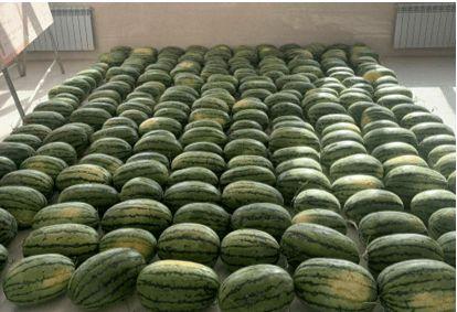 十堰今日吃瓜新闻,揭秘本地热点事件背后的真相