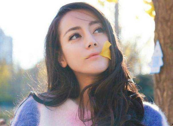 明星网红怎么缴税的呀,揭秘缴税之道